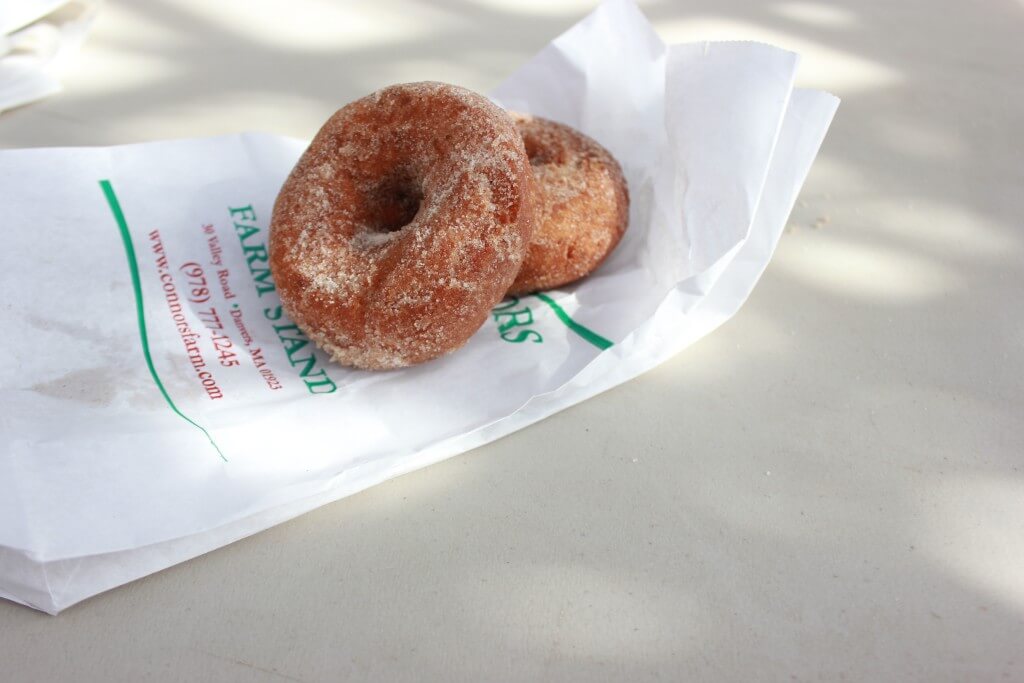 Connor's Farm Apple Cide Donuts