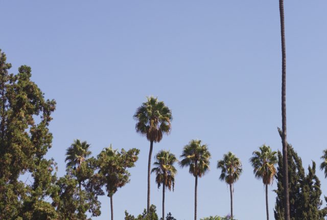Los Angeles City Guide