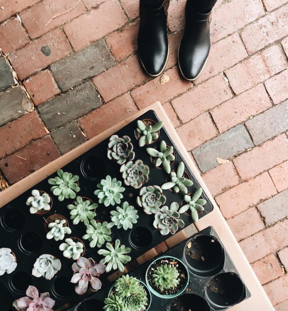 boston winter activities