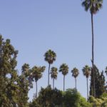 City Guide: Los Angeles, California